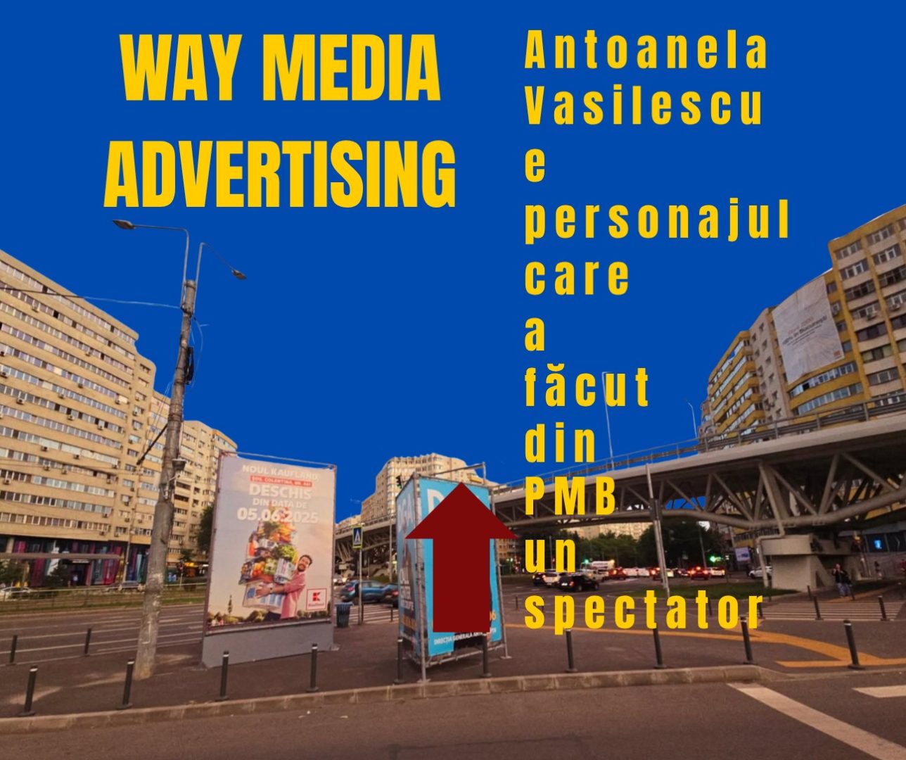 Way Advertise Production SRL: Antoanela Vasilescu și controversa publicității fără avize și taxele neachitate