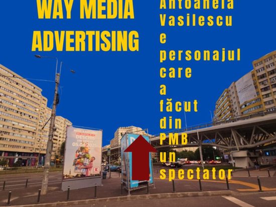 Way Advertise Production SRL: Antoanela Vasilescu și controversa publicității fără avize și taxele neachitate